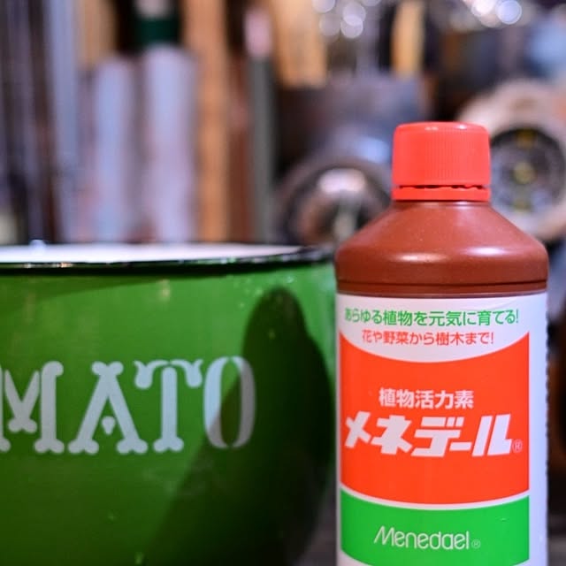 CYNOSさんの部屋