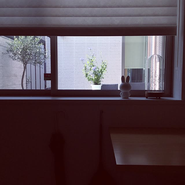 Yukikoさんの実例写真