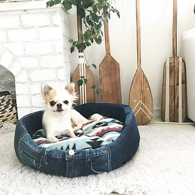 cocoさんの実例写真