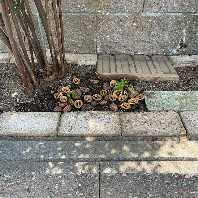 kikiさんの部屋