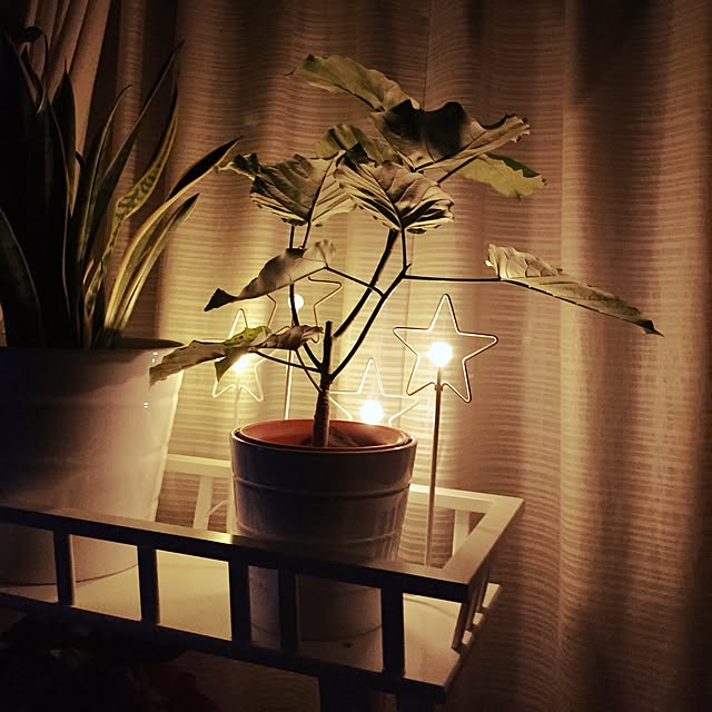 arataさんの実例写真