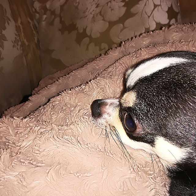 245keikoさんの実例写真