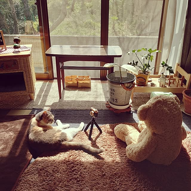 fukuさんの実例写真