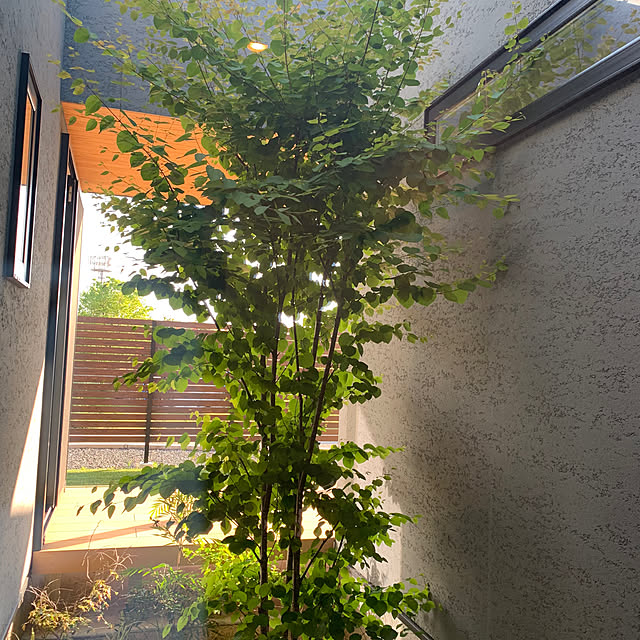 h_home.hさんの部屋