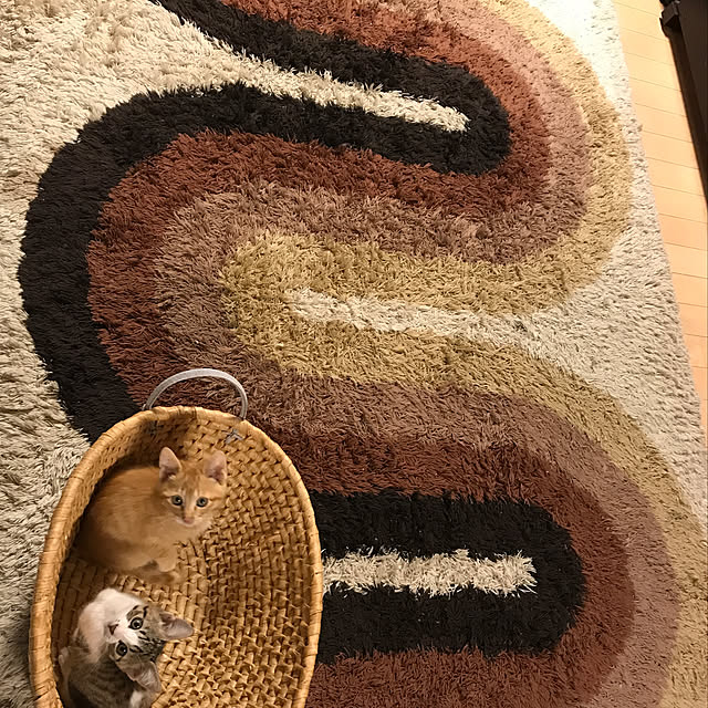chicchiさんの実例写真
