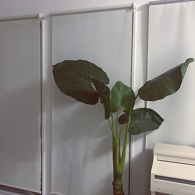 r600hさんの実例写真