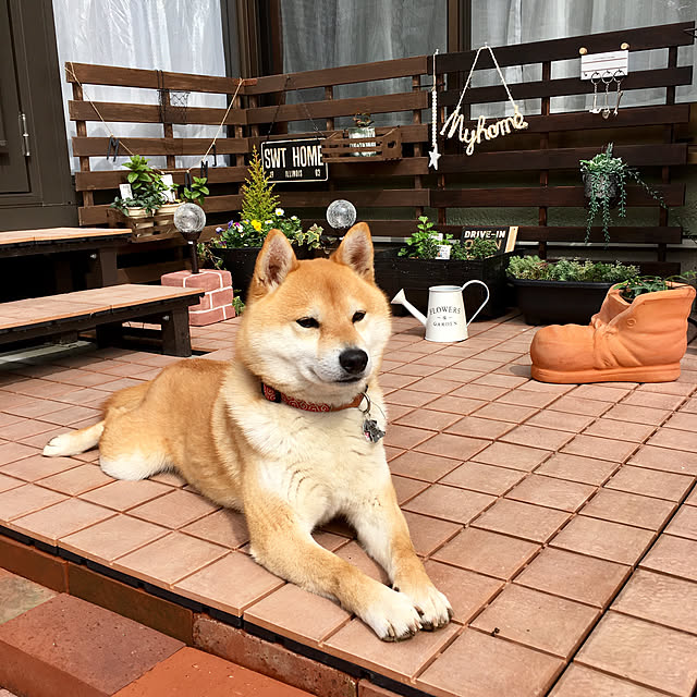 ronmaruさんの実例写真