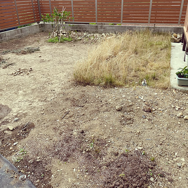 NOUKAさんの部屋