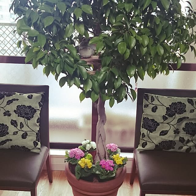 vanillaさんの実例写真