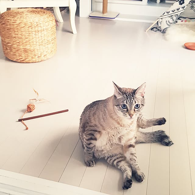 neoさんの実例写真