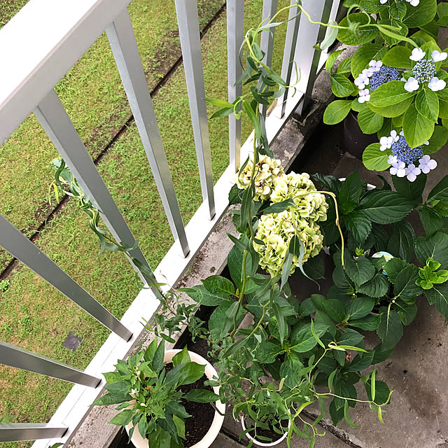 Mitsuさんの部屋