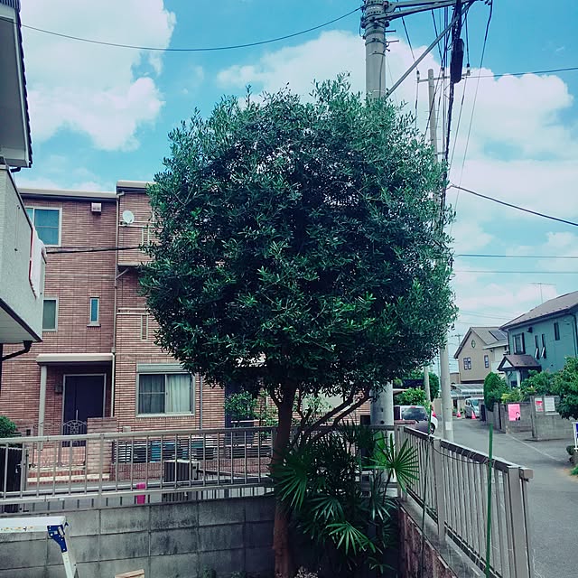 Manabuさんの実例写真