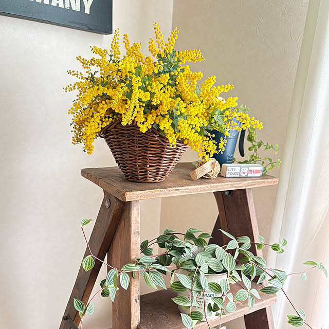 yukkoさんの部屋