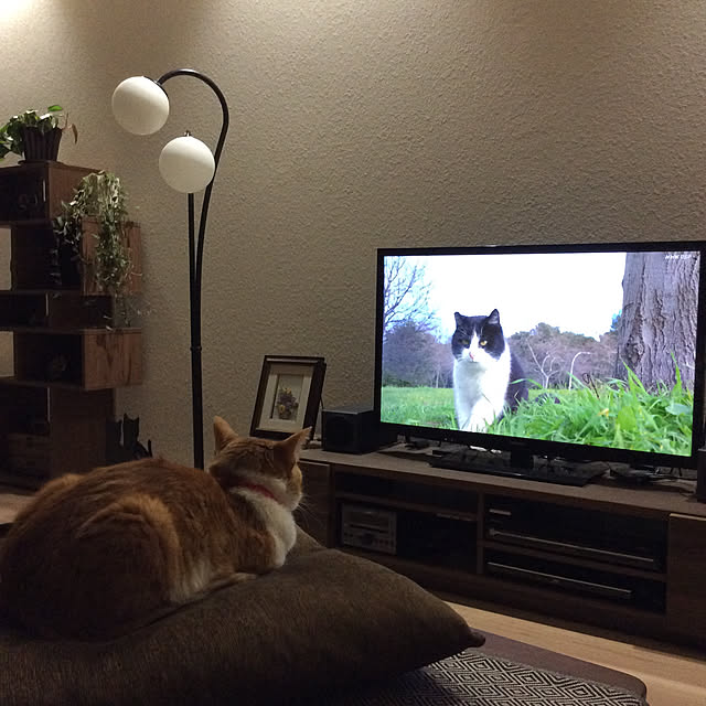 houenさんの実例写真
