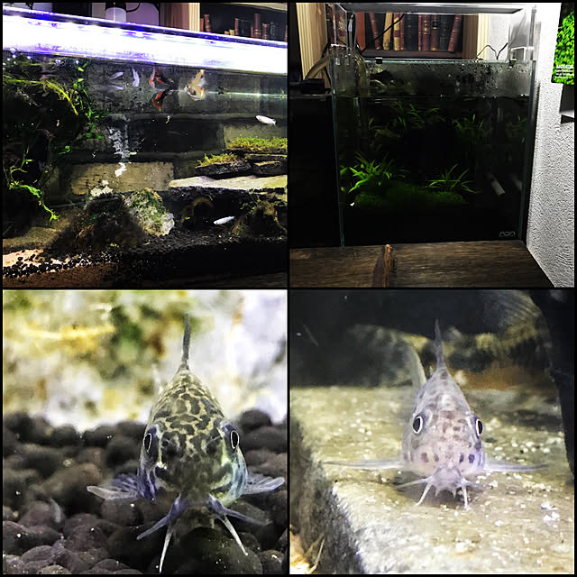 kouta_Co.さんの実例写真