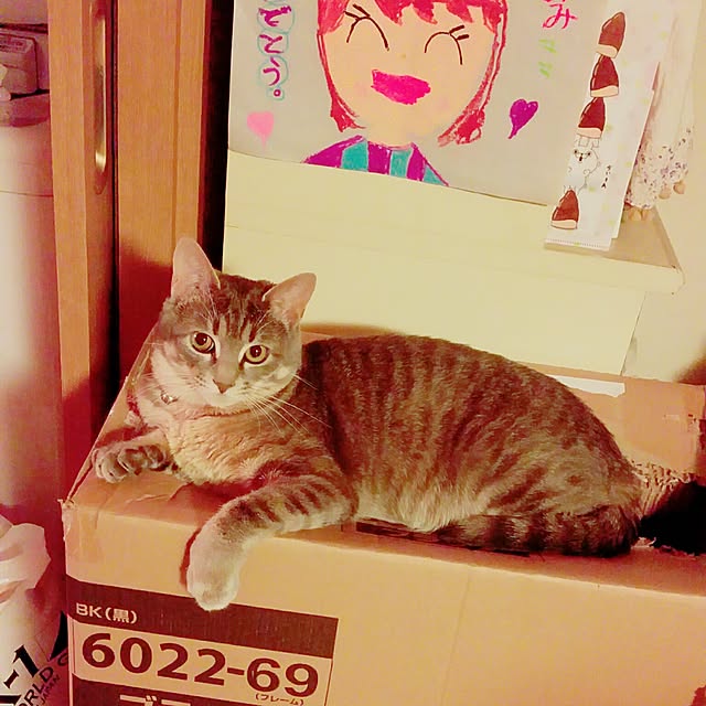oyumiさんの実例写真