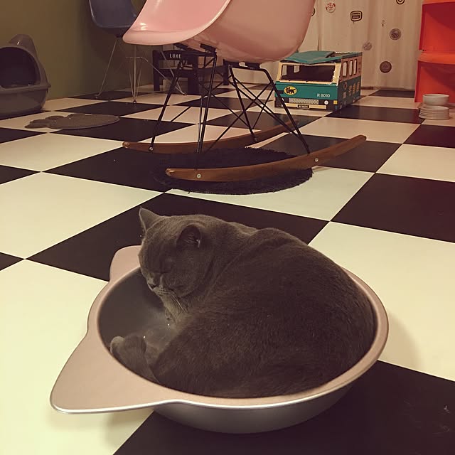 Shojiさんの実例写真