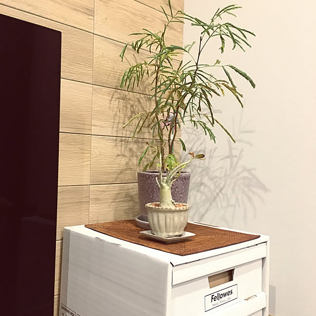 abcさんの実例写真