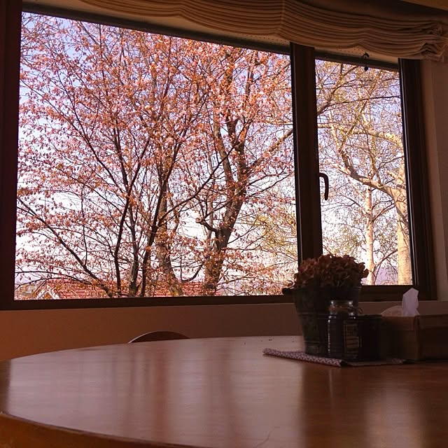 yukioさんの実例写真