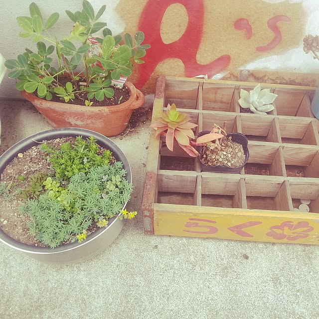 mtakさんの部屋