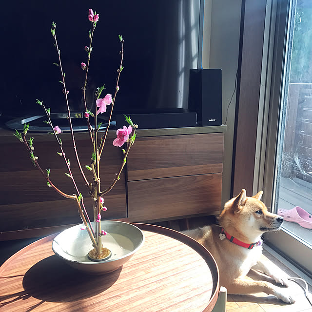 mugiinaさんの実例写真