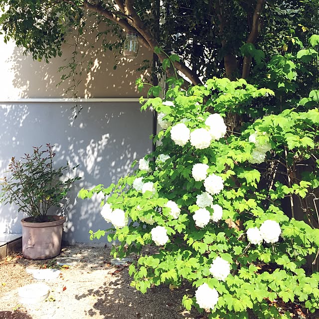 hamu.haruさんの実例写真