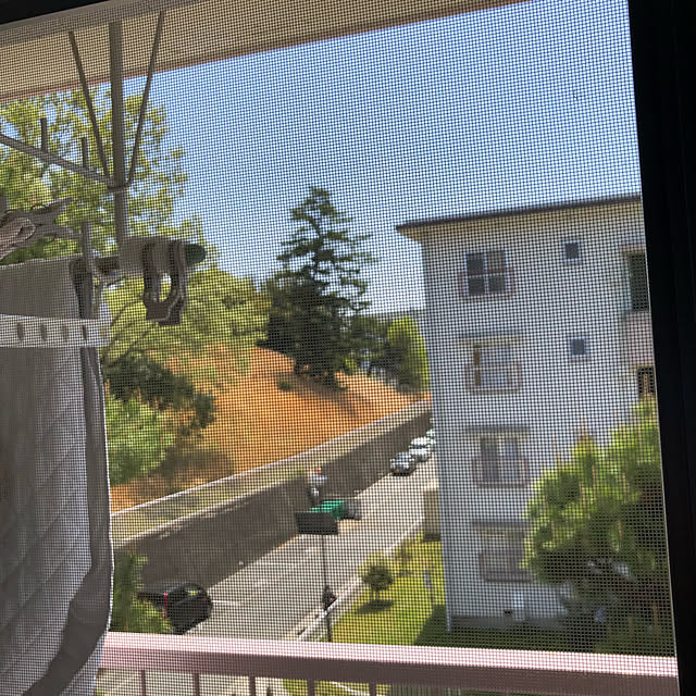 kumi93さんの実例写真