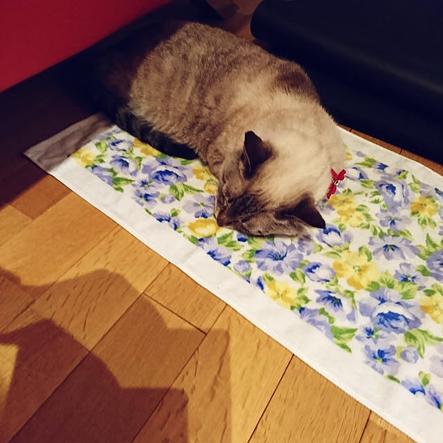 bonobono54さんの実例写真