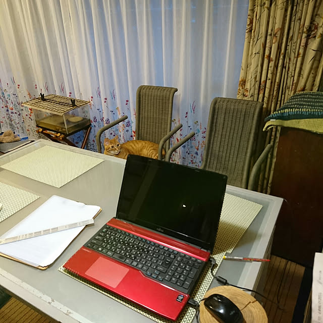 okyosan101さんの実例写真