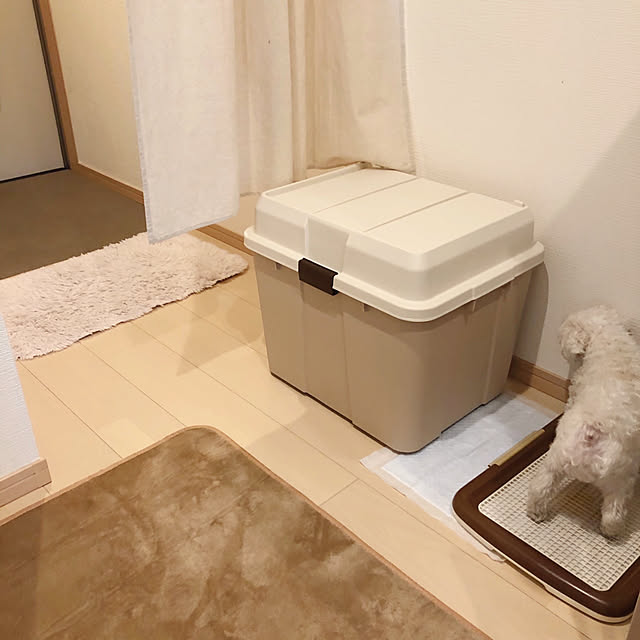 RanRanさんの実例写真