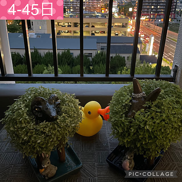 aureaさんの実例写真