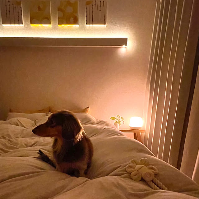 rinoさんの部屋