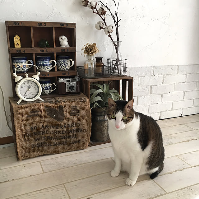 hiroko_ssnさんの実例写真
