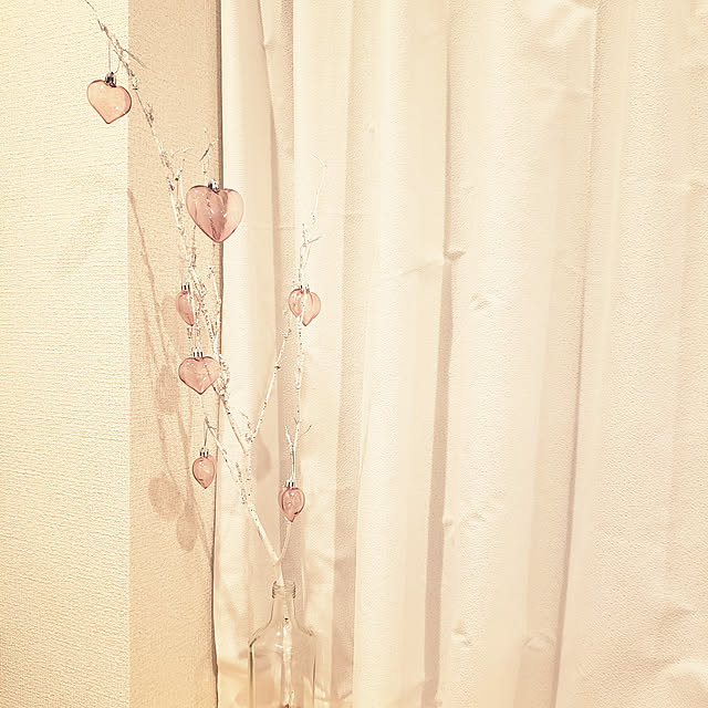 sanoaさんの実例写真