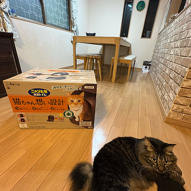 tami60さんの実例写真