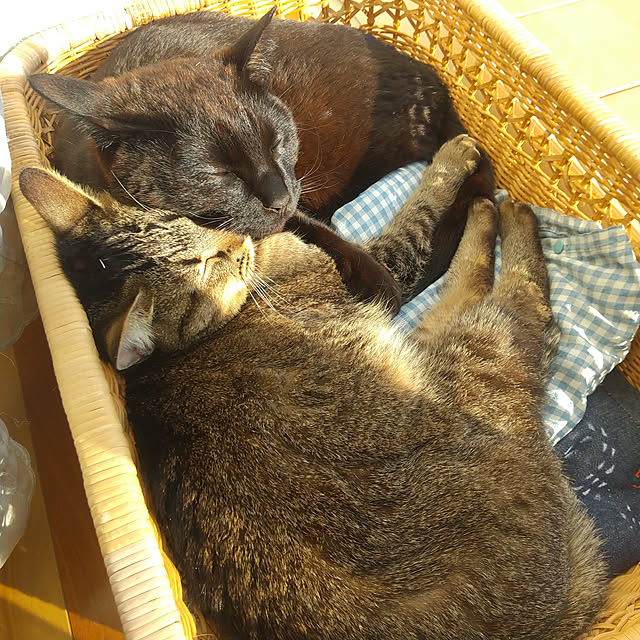 RAKUさんの実例写真