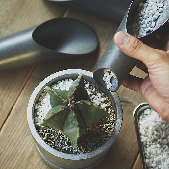 Royal_Gardeners_Clubさんの実例写真