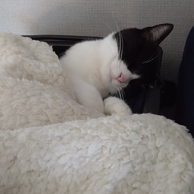 hihaさんの実例写真