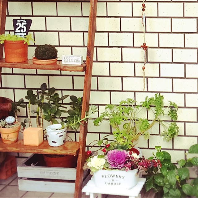 asa.homeさんの実例写真