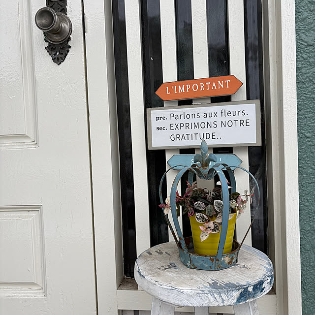 mii-tanさんの部屋