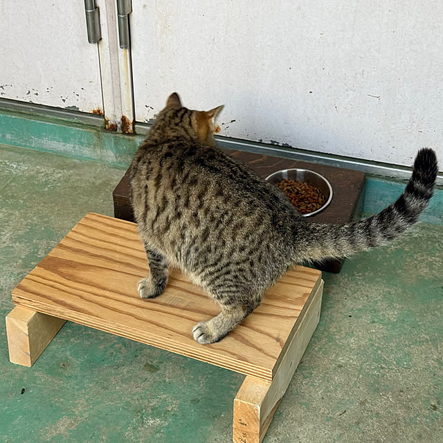 japitonさんの部屋