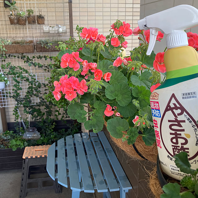 marukoさんの実例写真