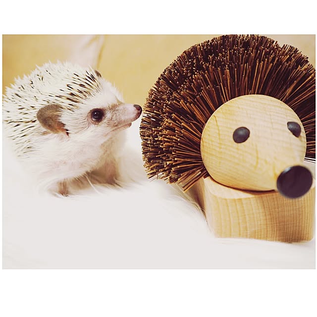 kameriさんの実例写真