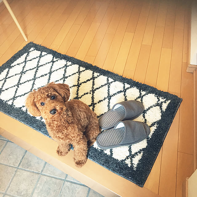 kazuさんの実例写真