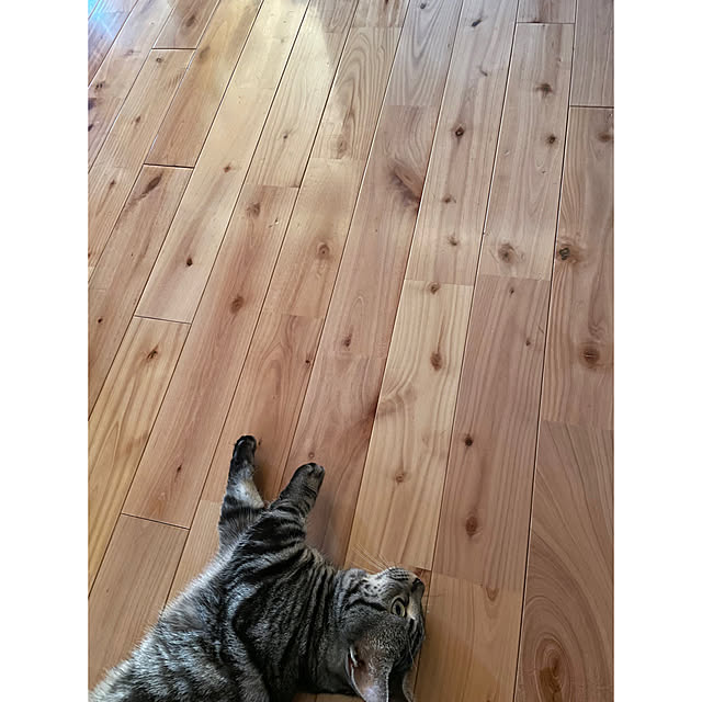yumiさんの実例写真
