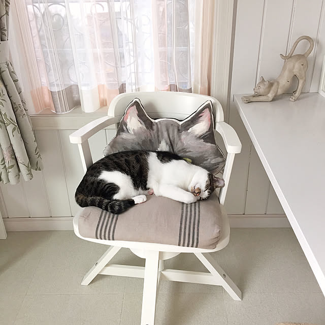yuchiさんの実例写真
