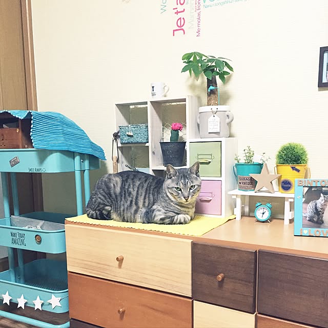 bubuさんの実例写真
