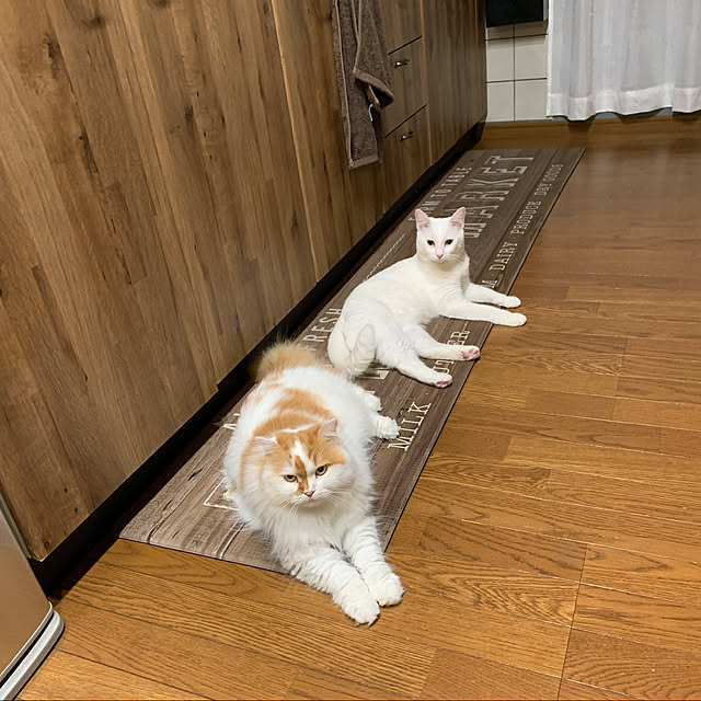 keiさんの実例写真