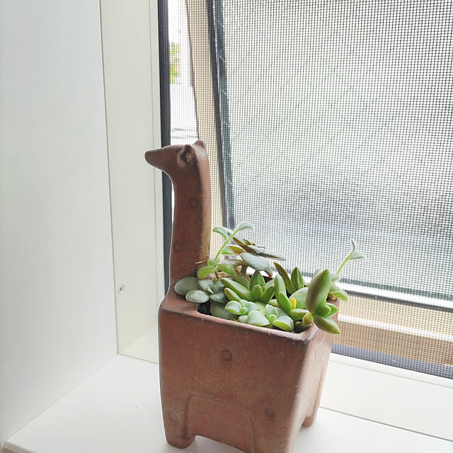 Maroさんの実例写真