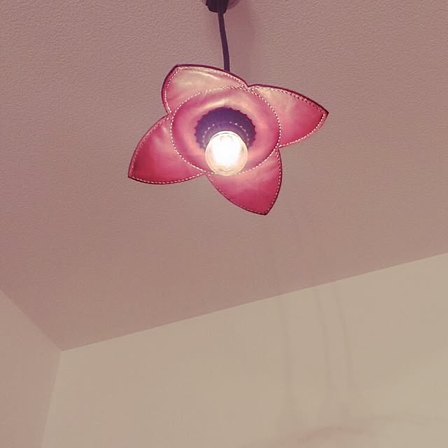 lightさんの実例写真